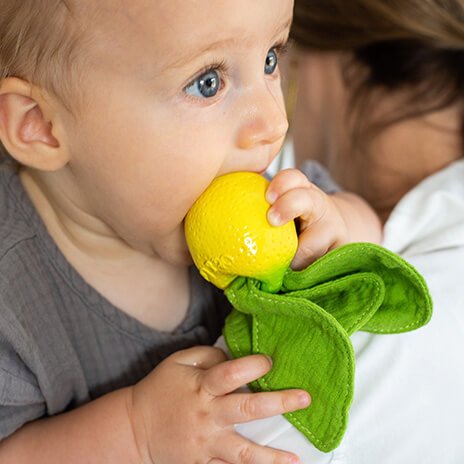 Mini doudou John Lemon