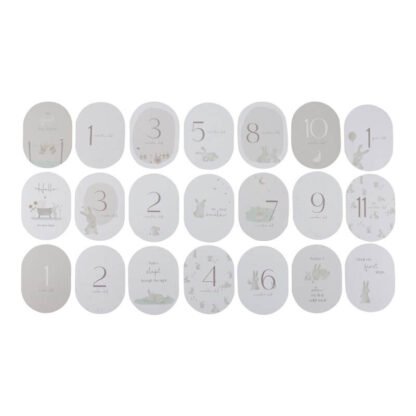 Tarjetas Milestone Baby Bunny - Imagen 4
