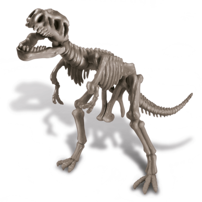 Kidz Labs Kit Geológico de un Tyrannosaurus Rex