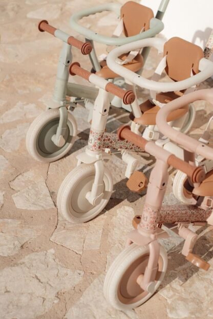Triciclo Little Dutch