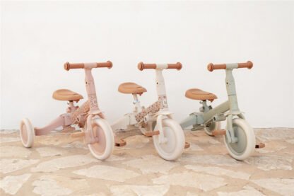 Triciclo Little Dutch