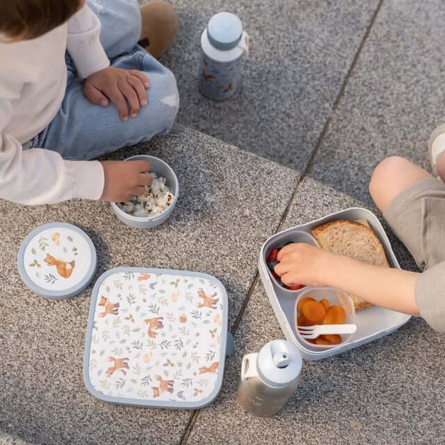 Caja de Frutas Campus Forest Friends