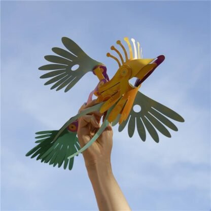 Tropical Birds