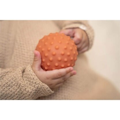 Set 3 Pelotas Sensoriales Little Farm