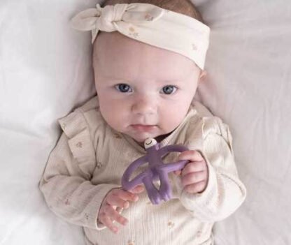 Mordedor Matchstick Monkey Violeta