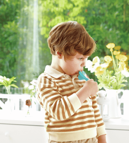 Kazoo de Bolsillo Rhythm and Hum