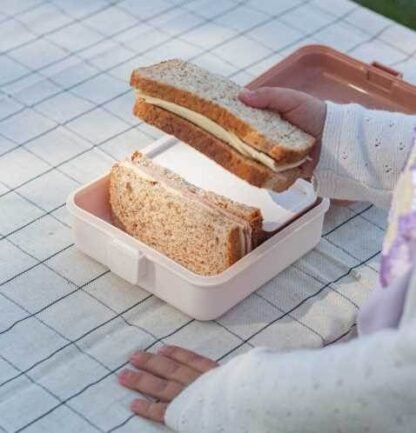 Caja Snacky Fox