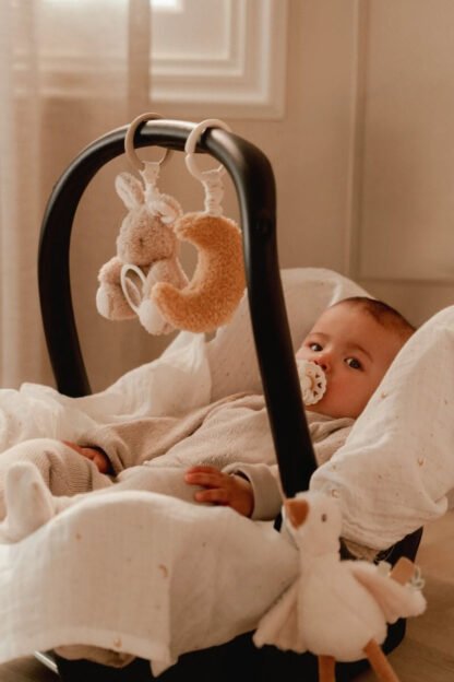 Juguetes Colgantes Anillas Newborn Naturals