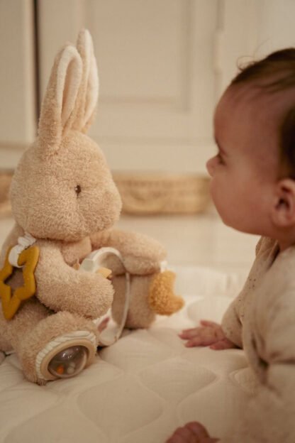 Conejo Actividades Newborn Naturals