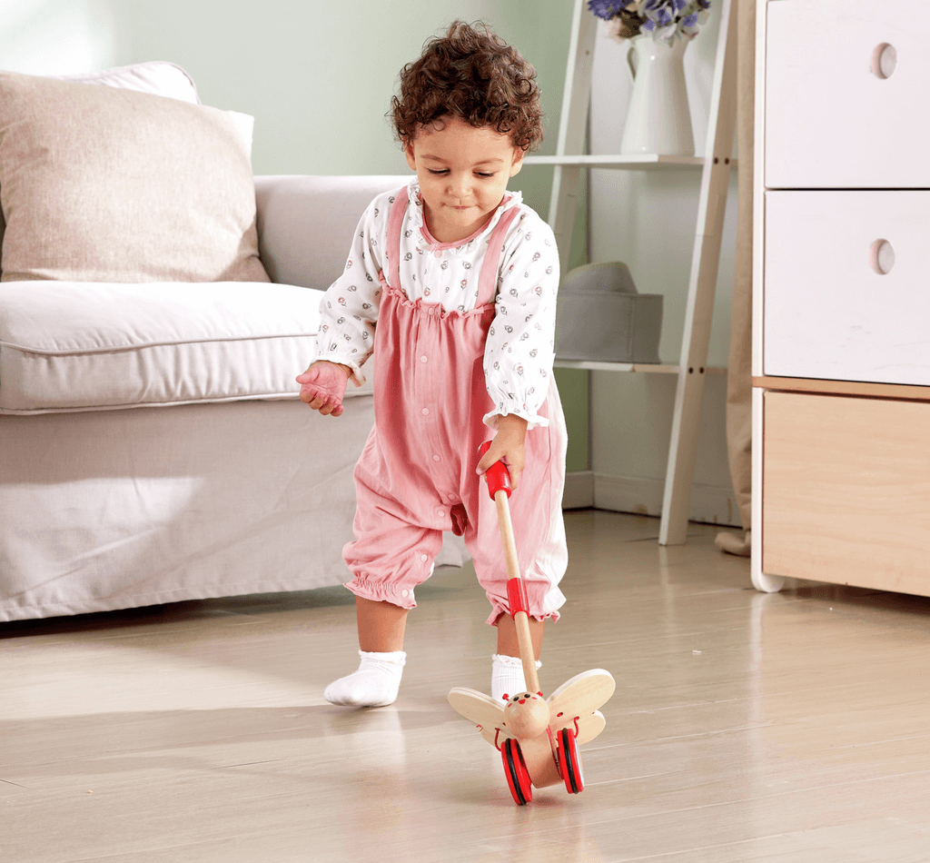 Mariposa de Arrastre