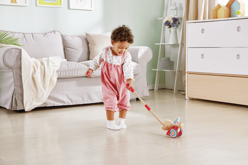 Mariposa de Arrastre