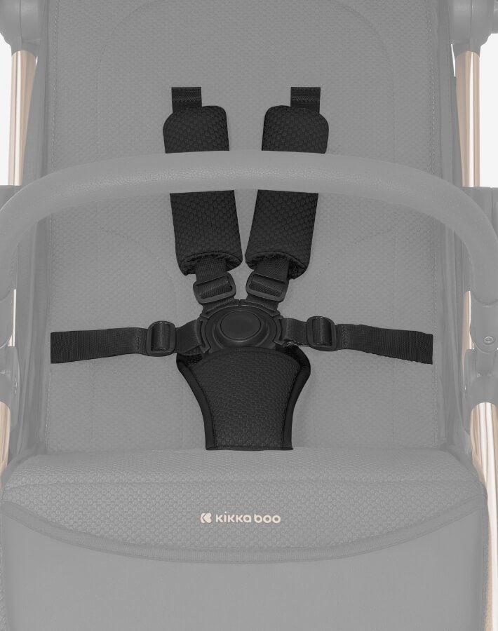 Silla de paseo autoplegable Eden Negro