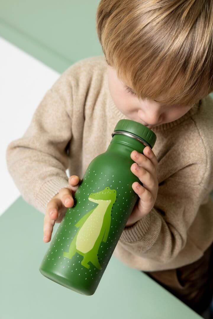 Botella Acero 500ml Mr Aligator