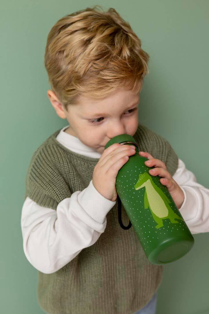Botella Acero 500ml Mr Aligator