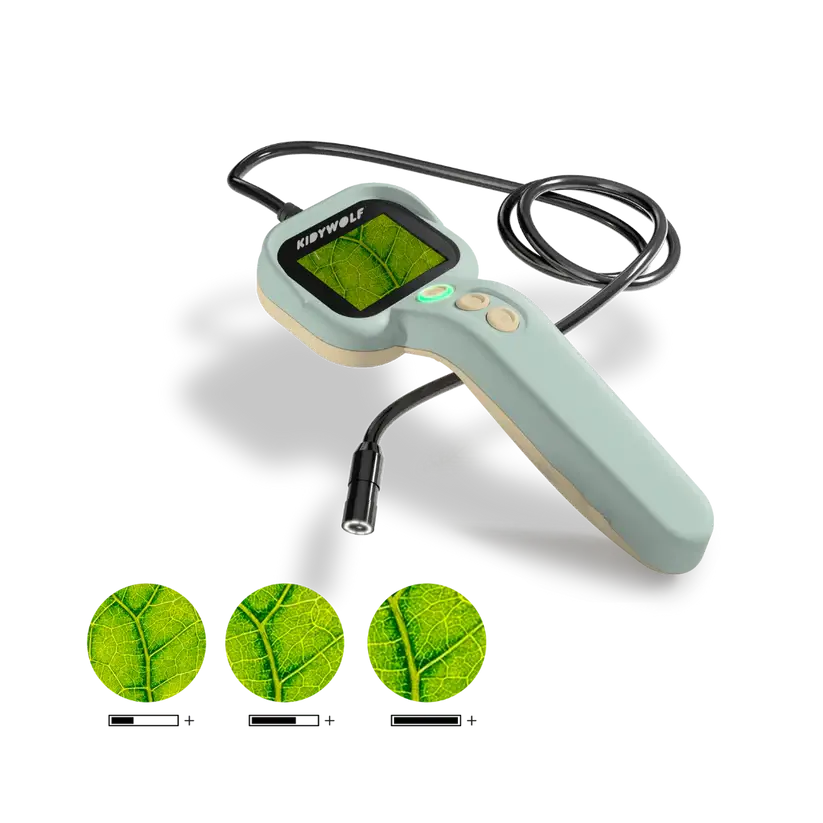 KidyExplorer Verde