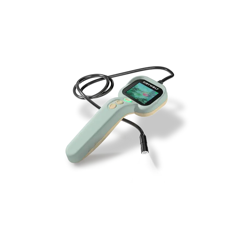 KidyExplorer Verde