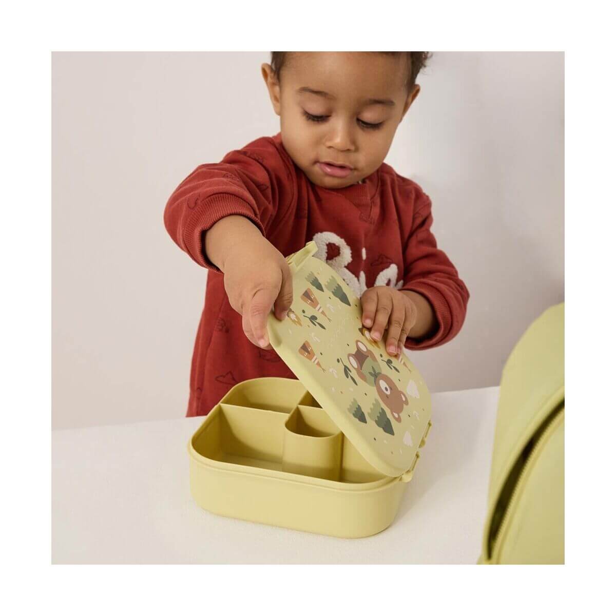 LunchBox Separadores Explorer