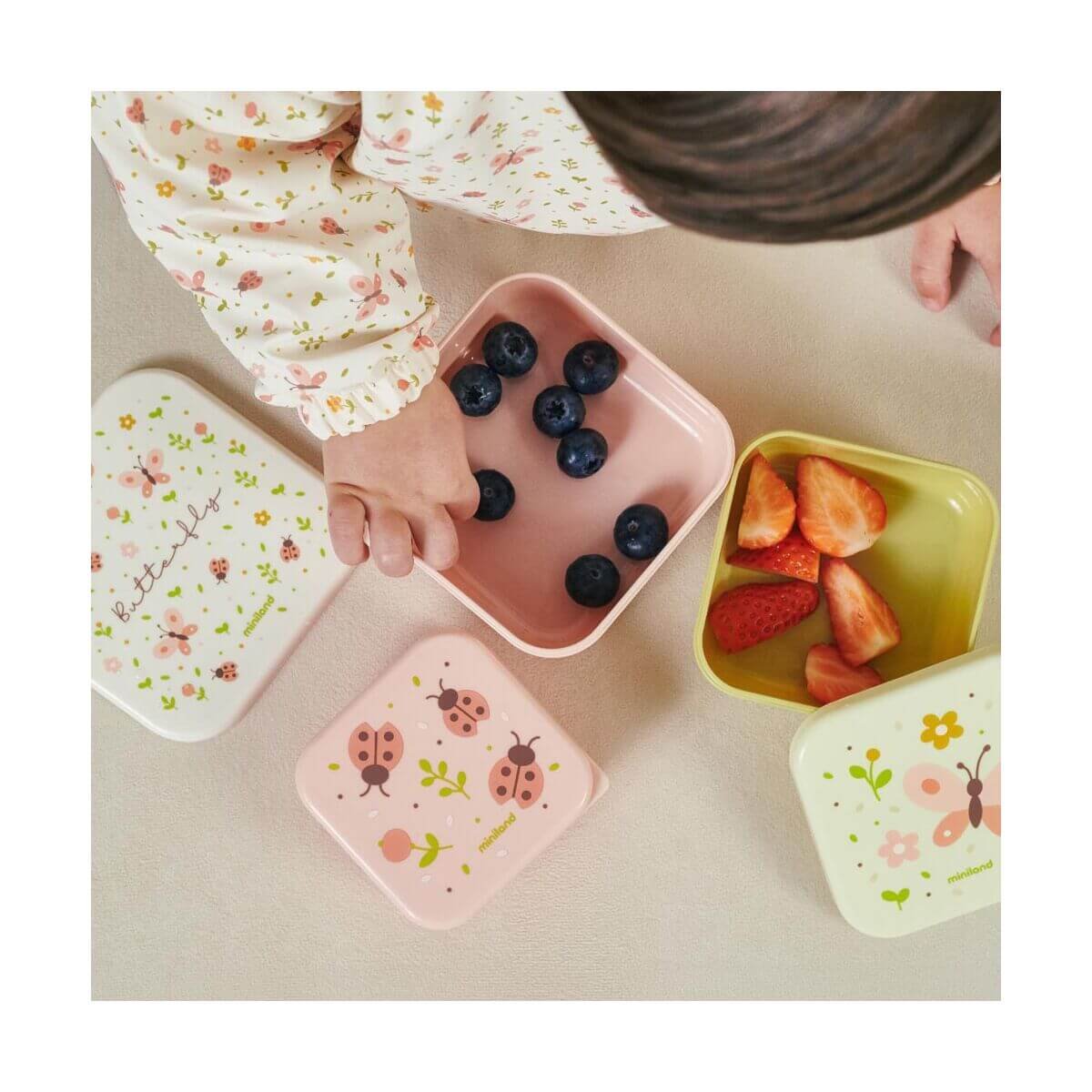 Set 3 SnackBox Butterfly
