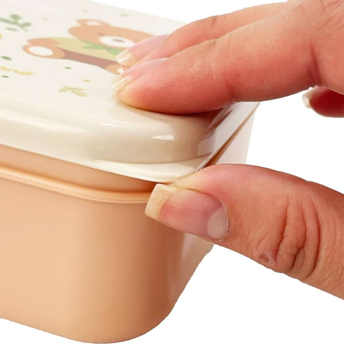 Set 3 SnackBox Explorer