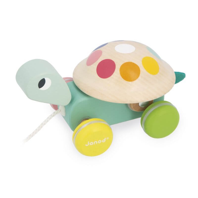 Tortuga para Pasear