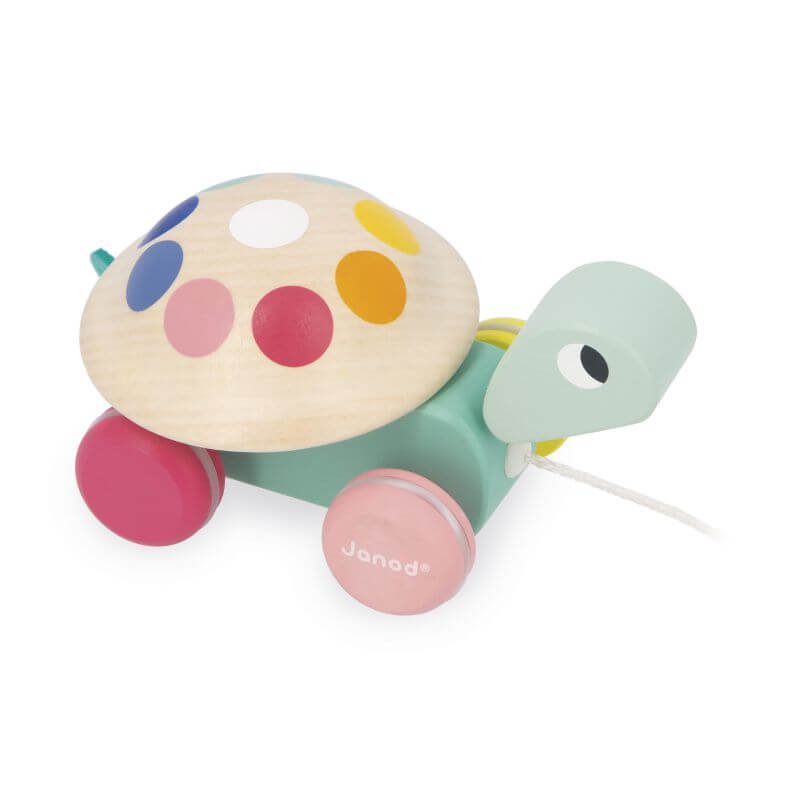 Tortuga para Pasear