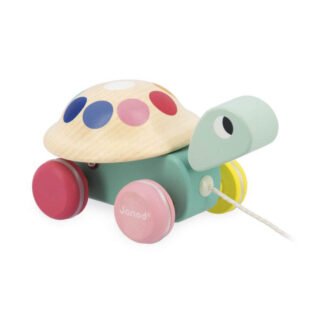 Tortuga para Pasear