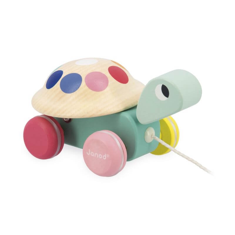 Tortuga para Pasear