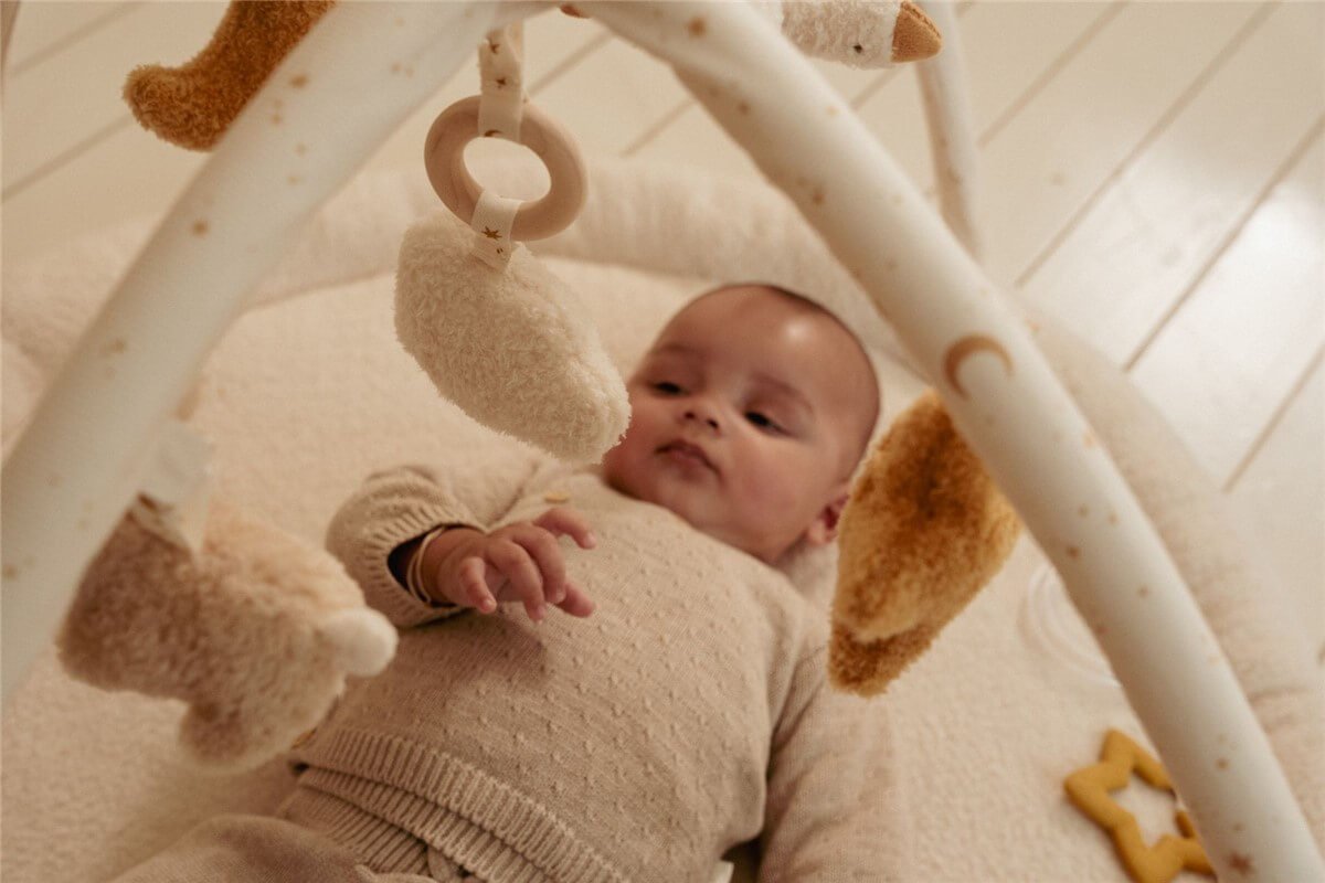 Alfombra de Actividades Newborn Naturals