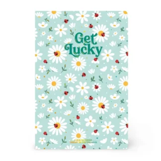 Cuaderno a Rayas Medium A5 Ladybug Green